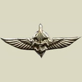 Israel Military Insignias | Israel Military Products – IDF-Store