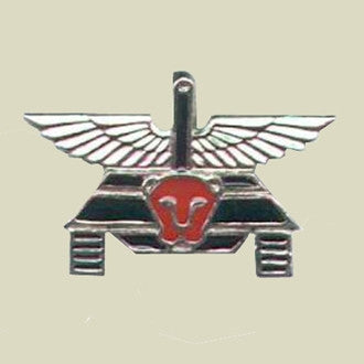 Israel Military Products PALSAR 500 - Tank Commando Insignia